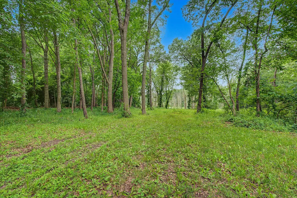 Winters Lane Whitmore Lake, MI 48189