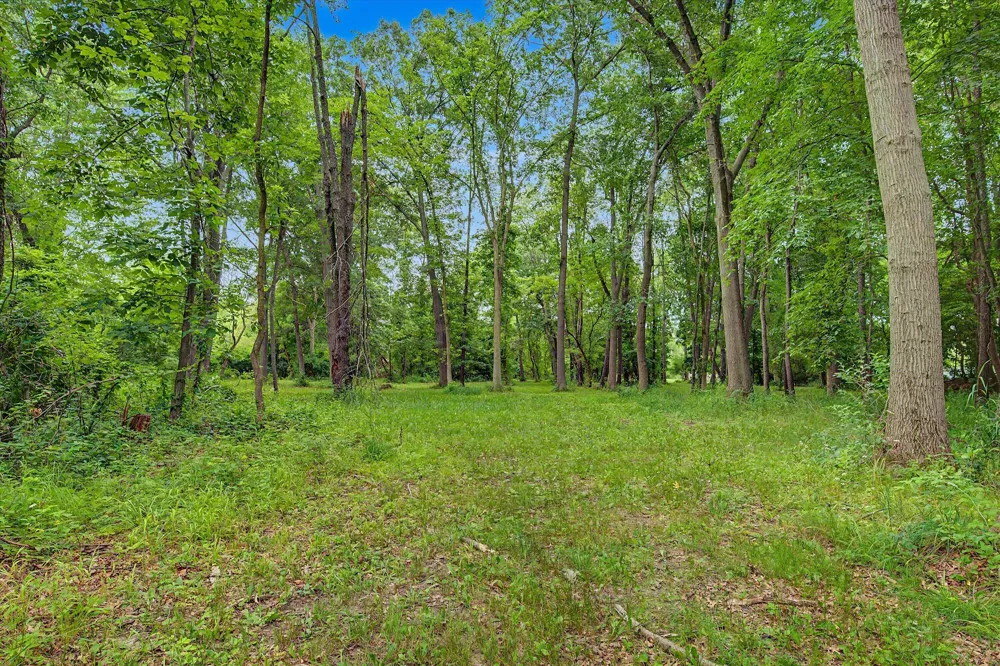 Winters Lane Whitmore Lake, MI 48189
