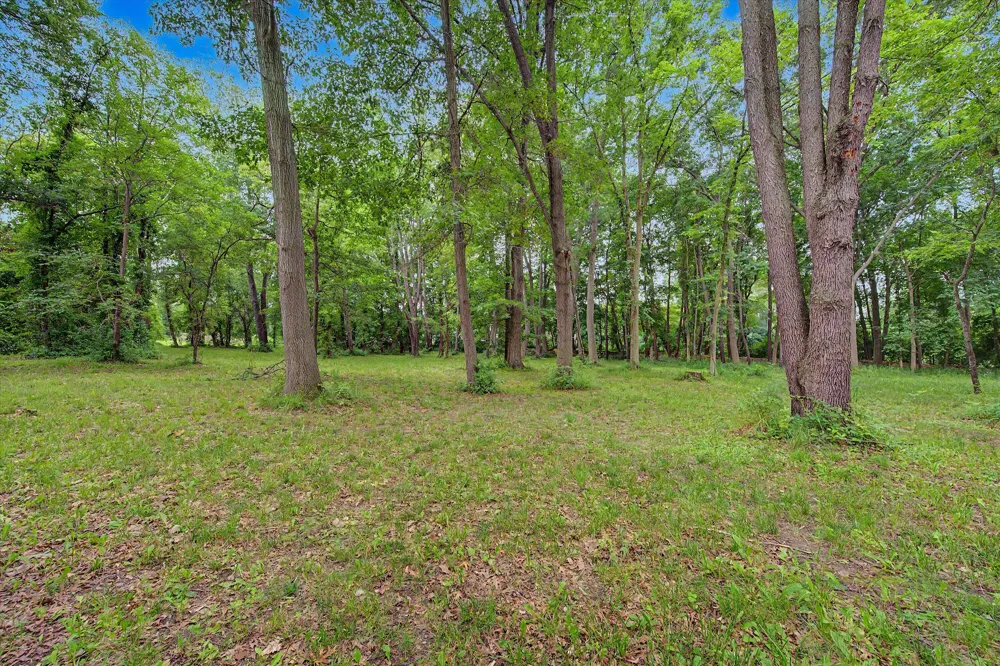 Winters Lane Whitmore Lake, MI 48189