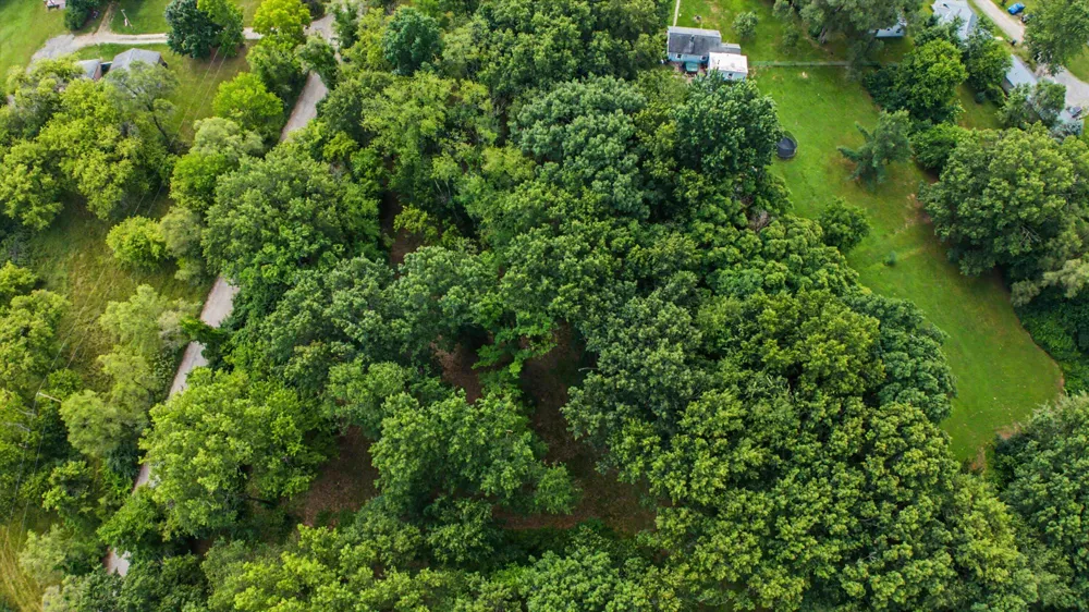 Winters Lane Whitmore Lake, MI 48189
