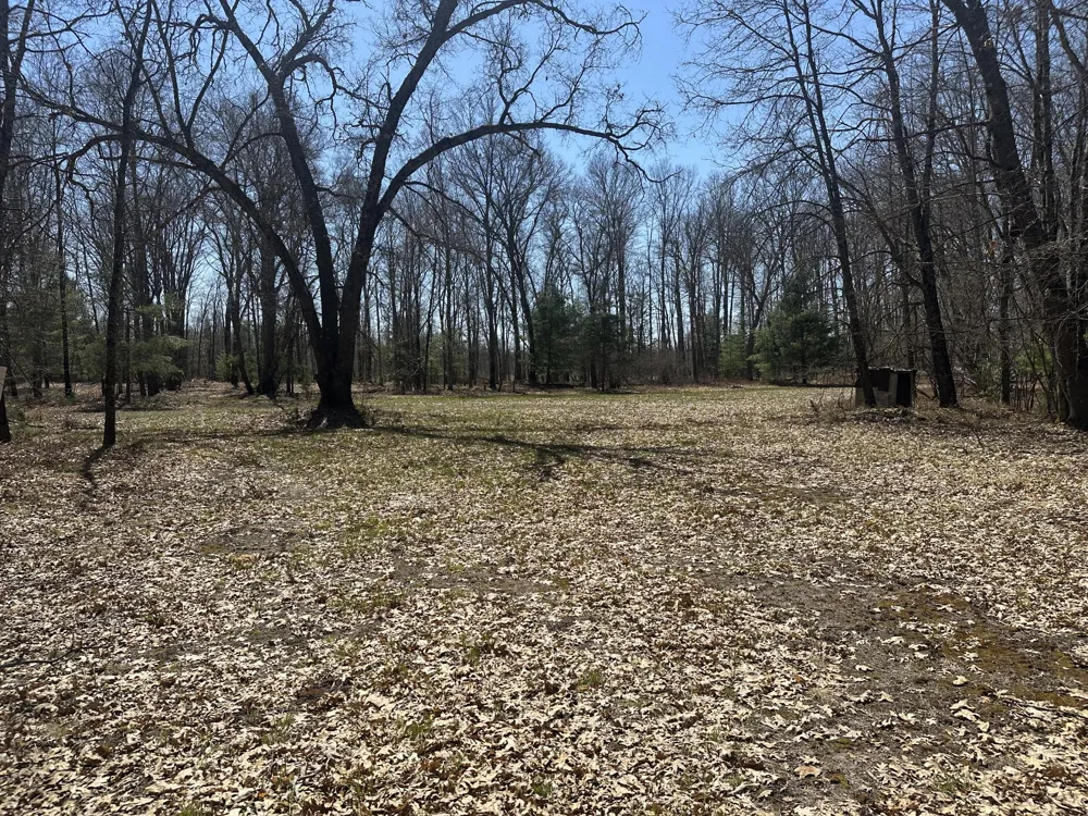 604 Beaver Road Lilley Township, MI 49309