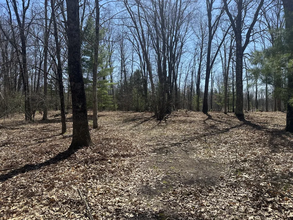 604 Beaver Road Lilley Township, MI 49309