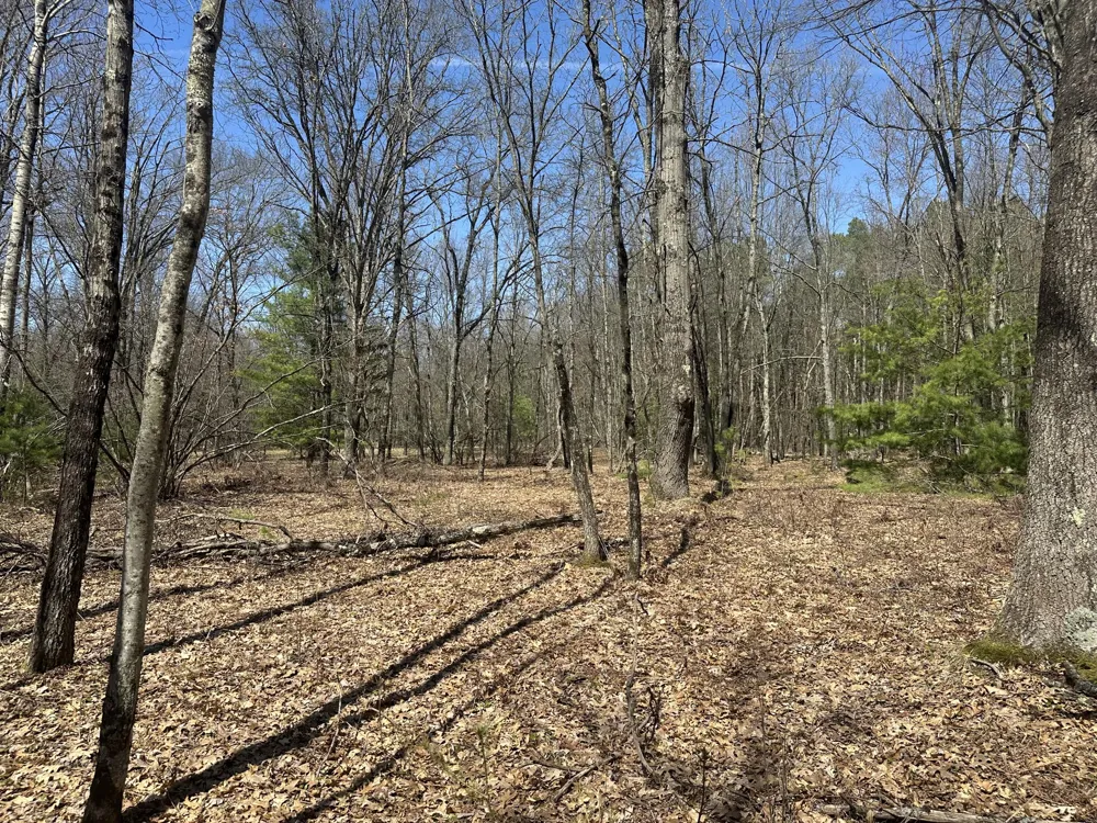 604 Beaver Road Lilley Township, MI 49309