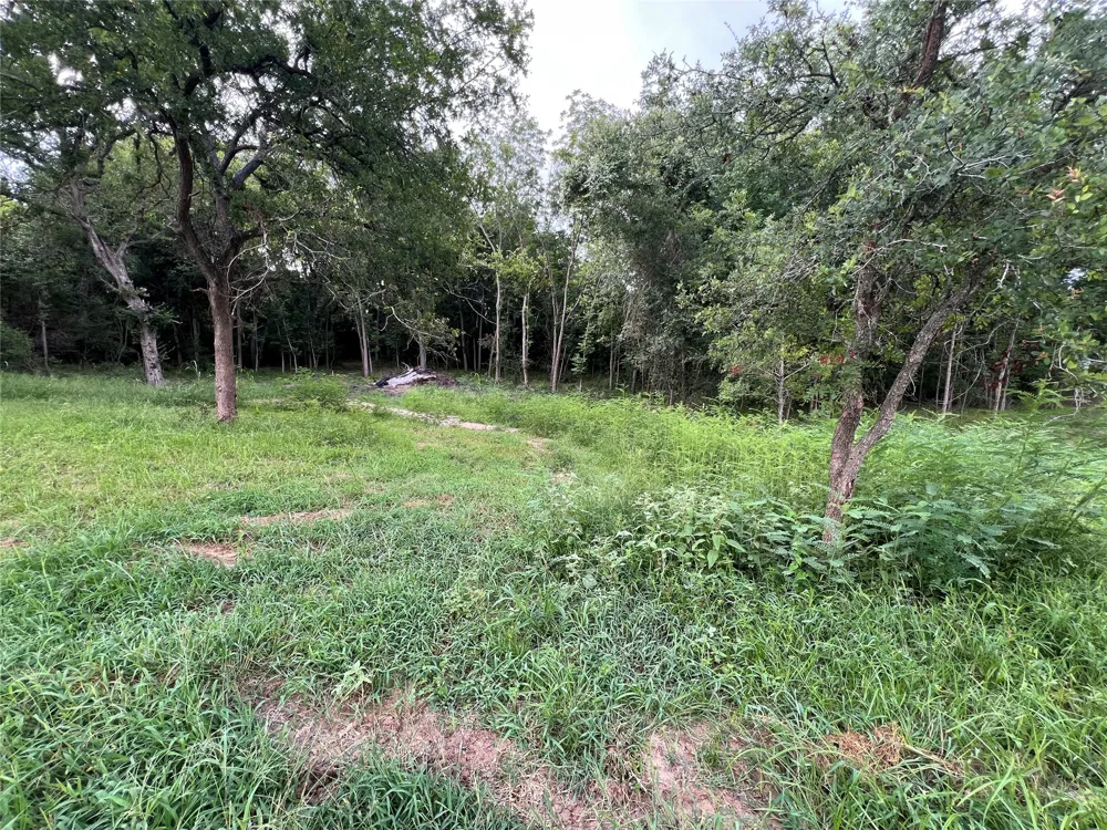 FM 3000 Tract 1 Elgin, TX 78621