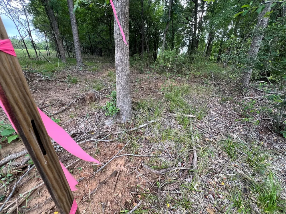 FM 3000 Tract 1 Elgin, TX 78621