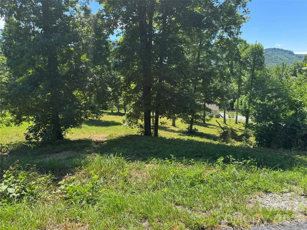 00 Glen Haven Cove Hendersonville, NC 28792