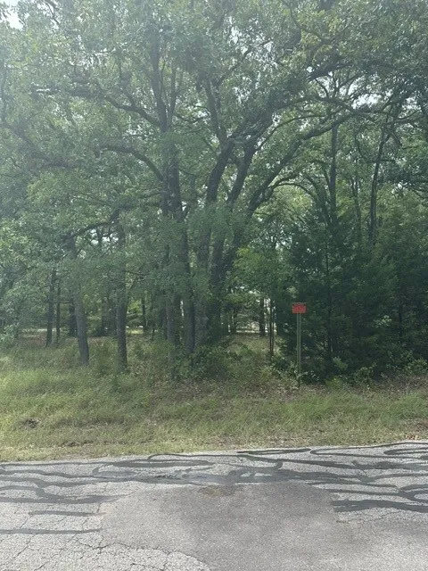 Nob Hill Road Gun Barrel City, TX 75147