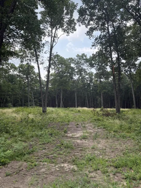 1099 Chicago Drive #Lot 20