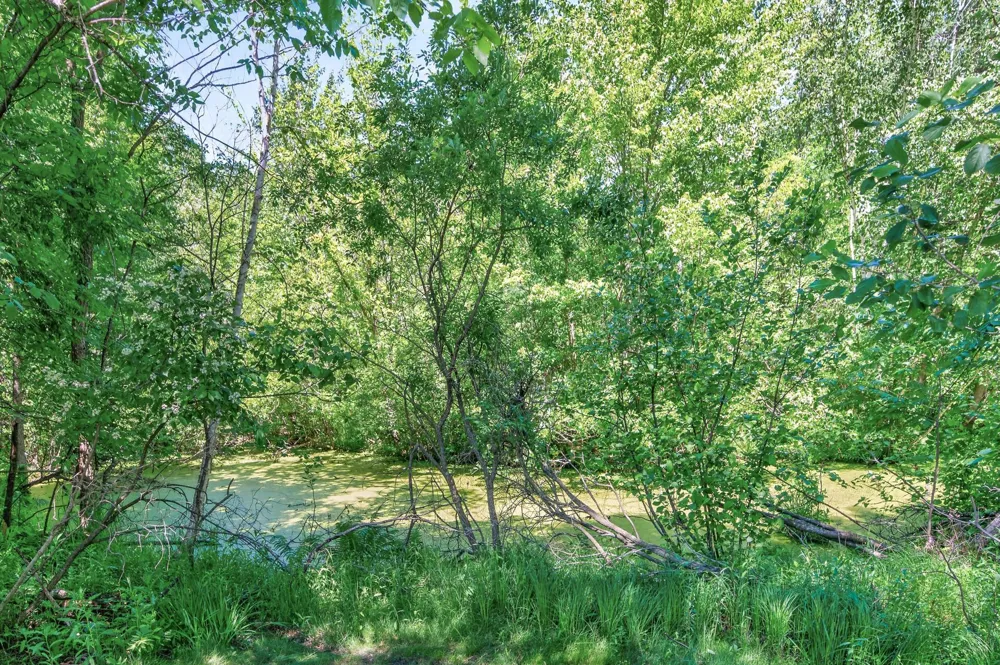 22617 Washington Court NE East Bethel, MN 55011