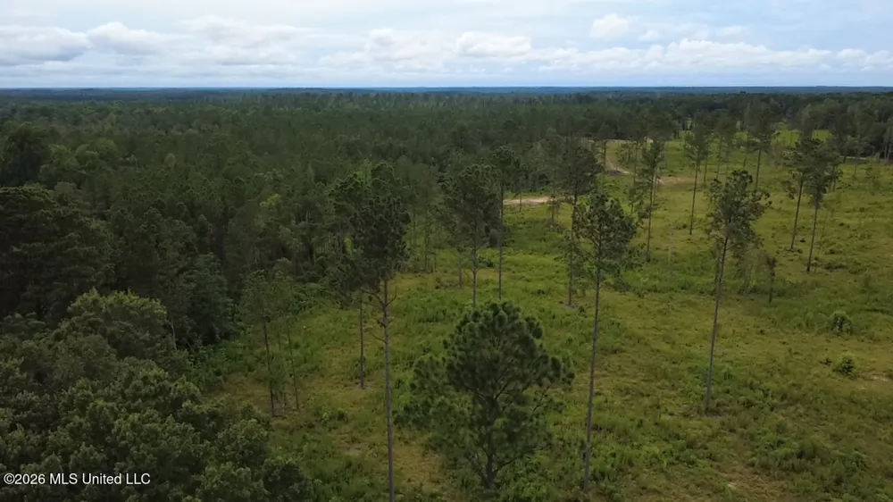 Kirklin Road Tylertown, MS 39667