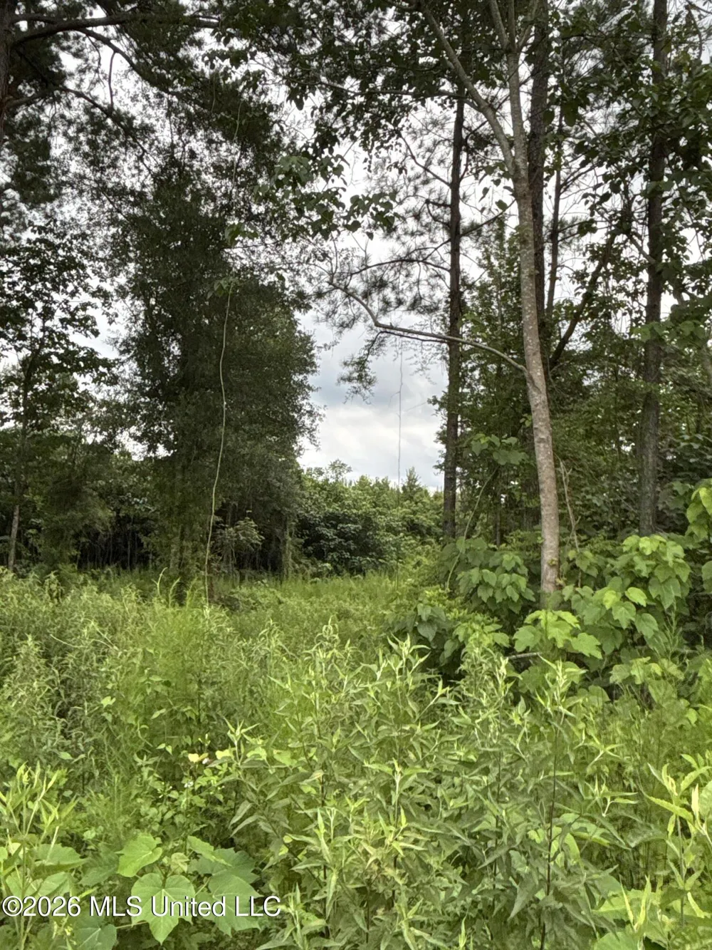 Kirklin Road Tylertown, MS 39667