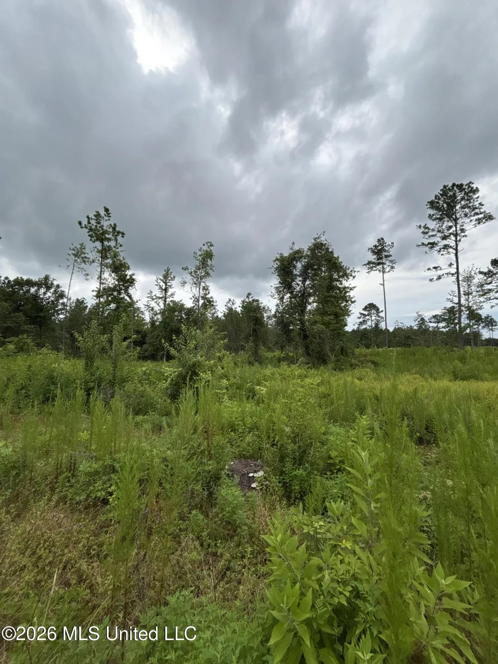 Kirklin Road Tylertown, MS 39667