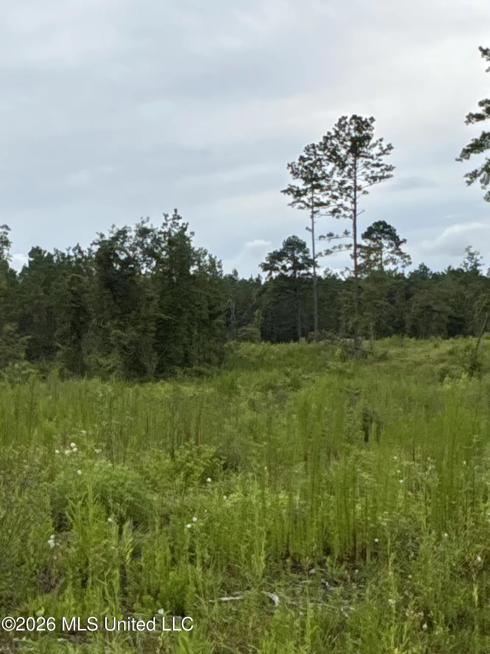 Kirklin Road Tylertown, MS 39667