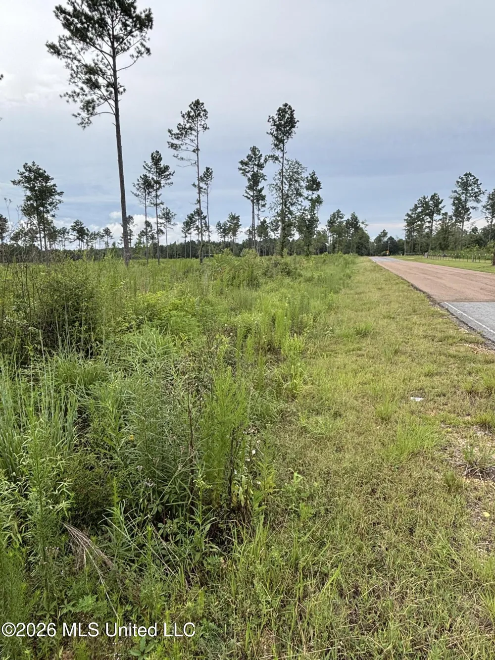 Kirklin Road Tylertown, MS 39667