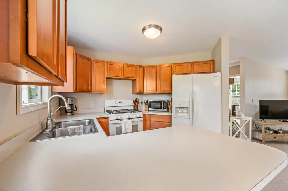 2103 Winston View Drive Cedar Springs, MI 49319