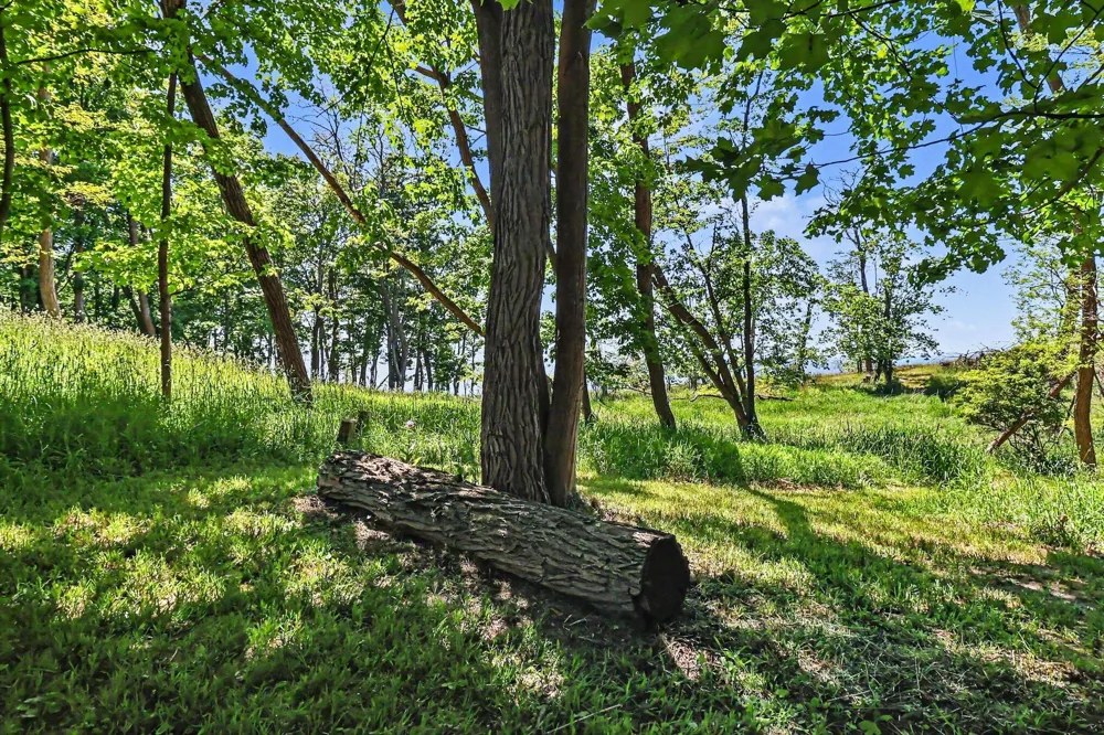 4539 S Lakeshore Drive #2.8 acres Ludington, MI 49431