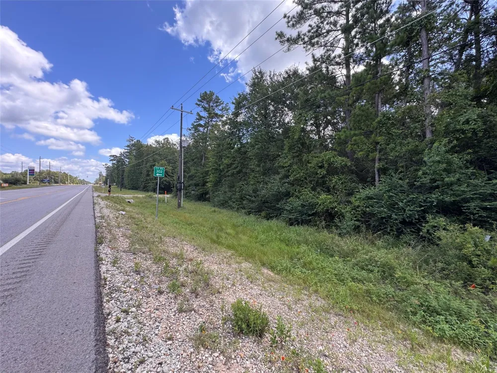 21145 Fm 1774 Plantersville, TX 77363