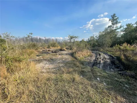 CONCORD ROAD