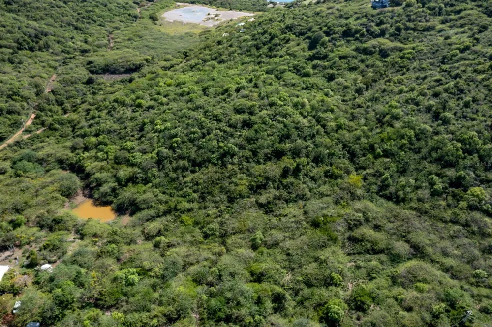 10 SOUTHEAST HARBOUR ESTATES Culebra, PR 00775