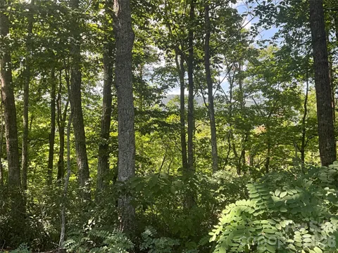 Lot 67 TreeTops Lane