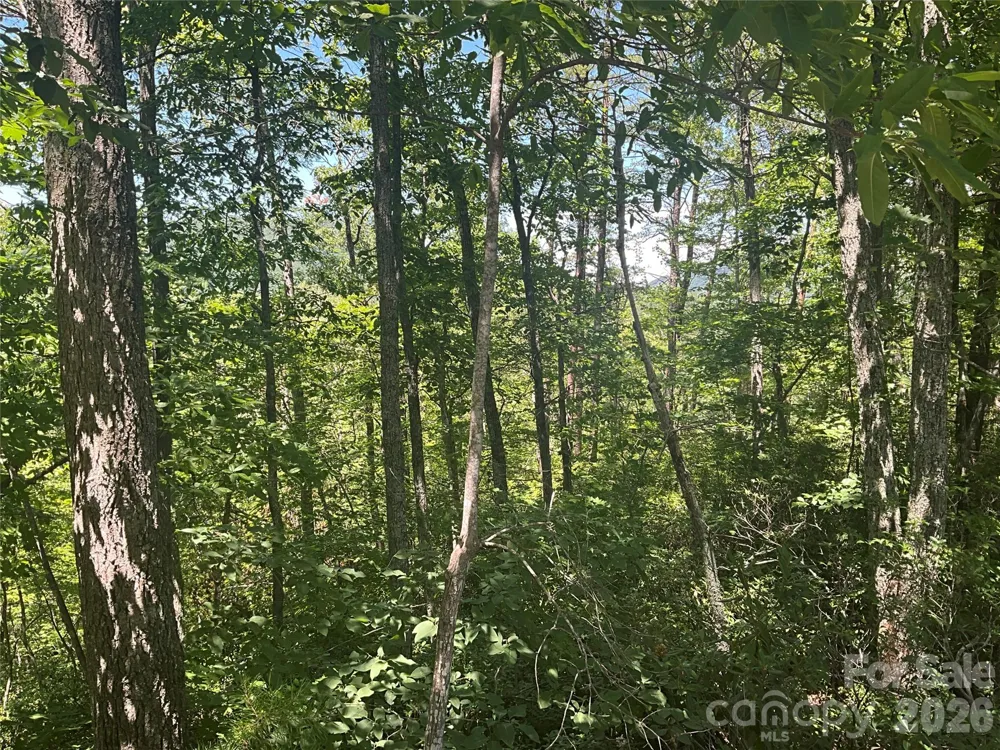 Lot 67 TreeTops Lane Lake Lure, NC 28746