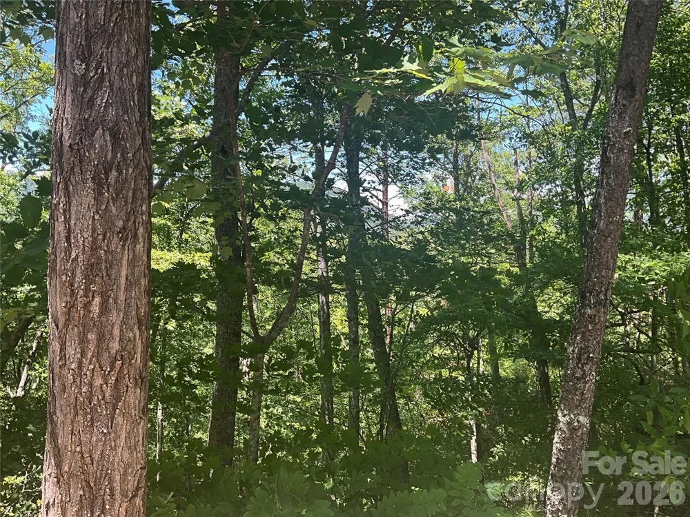 Lot 67 TreeTops Lane Lake Lure, NC 28746
