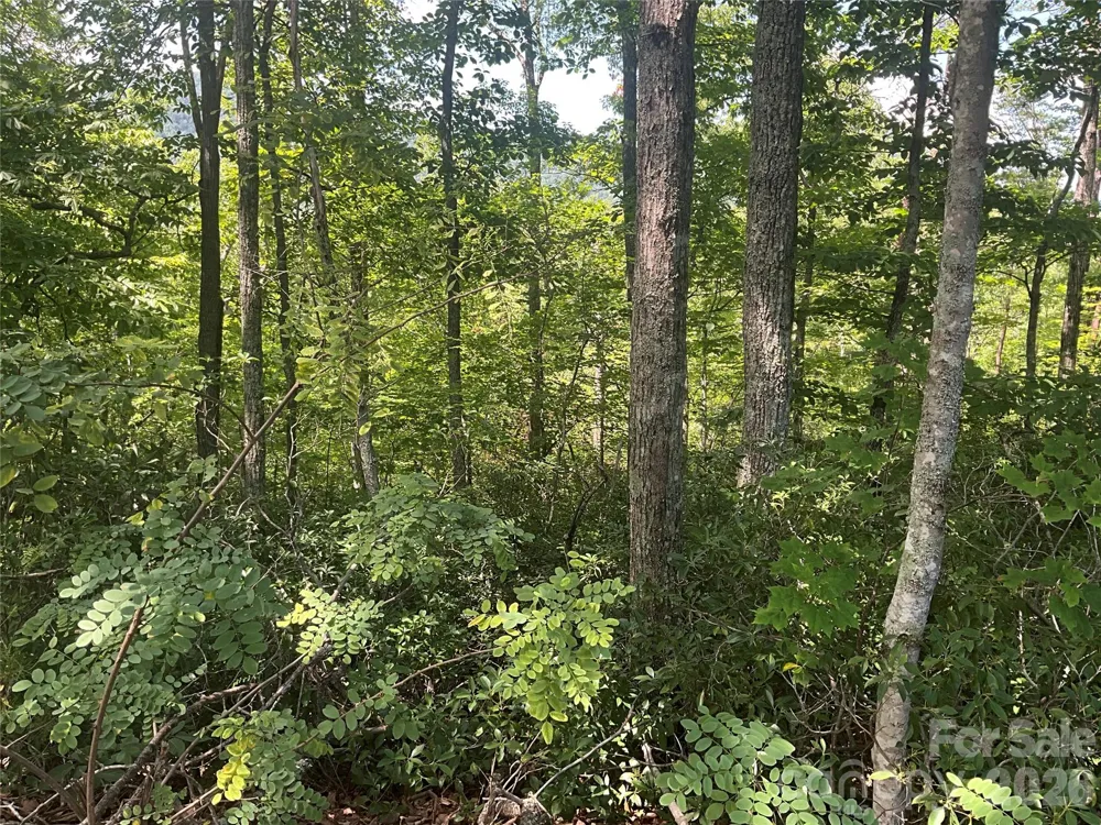 Lot 67 TreeTops Lane Lake Lure, NC 28746