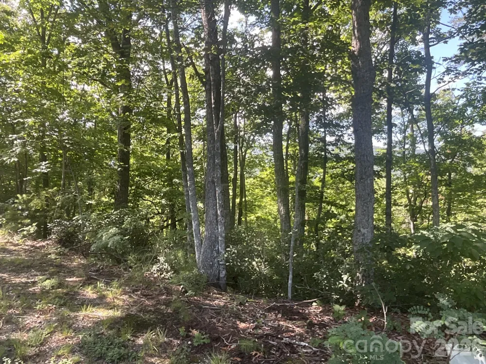 Lot 67 TreeTops Lane Lake Lure, NC 28746