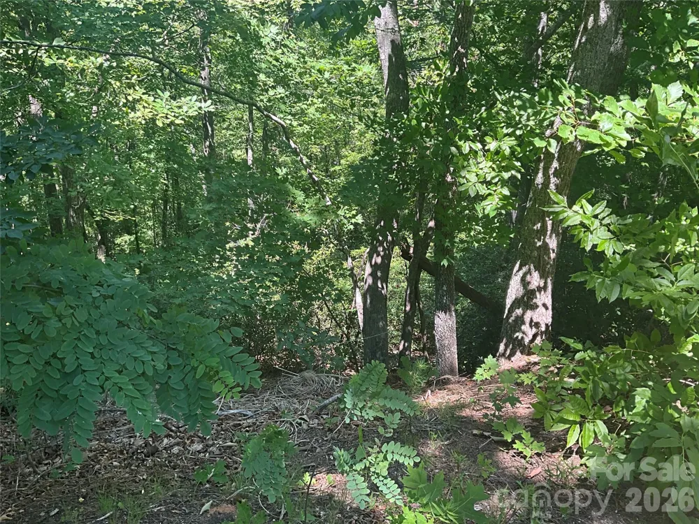 Lot 67 TreeTops Lane Lake Lure, NC 28746