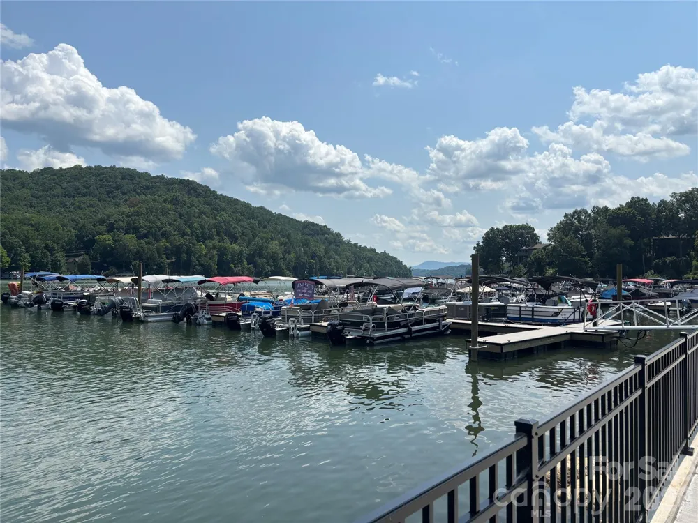 Lot 67 TreeTops Lane Lake Lure, NC 28746
