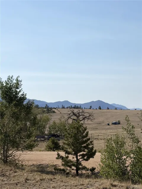 3031 Mcdowell Drive
