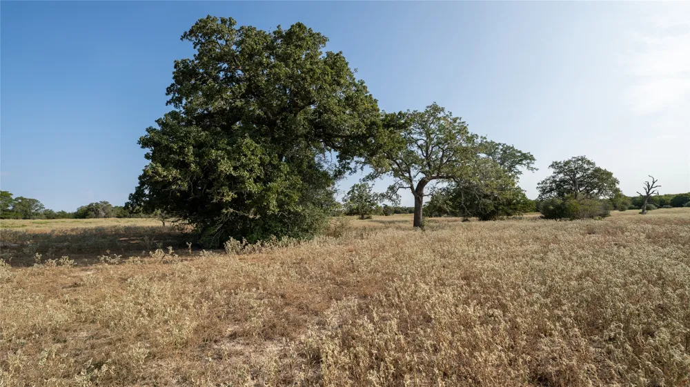5 CEDAR ROCK ROAD Rosanky, TX 78953