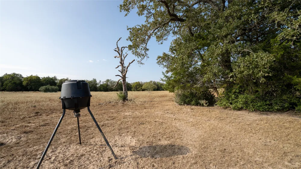 5 CEDAR ROCK ROAD Rosanky, TX 78953