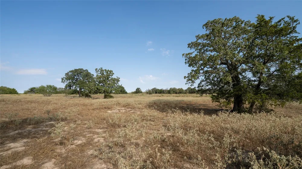 5 CEDAR ROCK ROAD Rosanky, TX 78953
