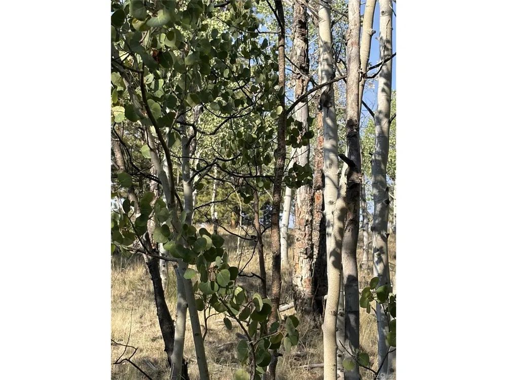 3031 Mcdowell Drive Como, CO 80432