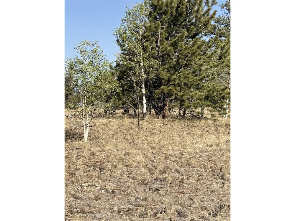 3031 Mcdowell Drive Como, CO 80432