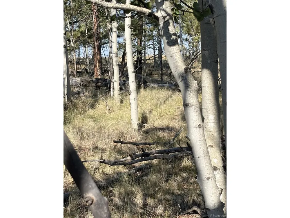 3031 Mcdowell Drive Como, CO 80432