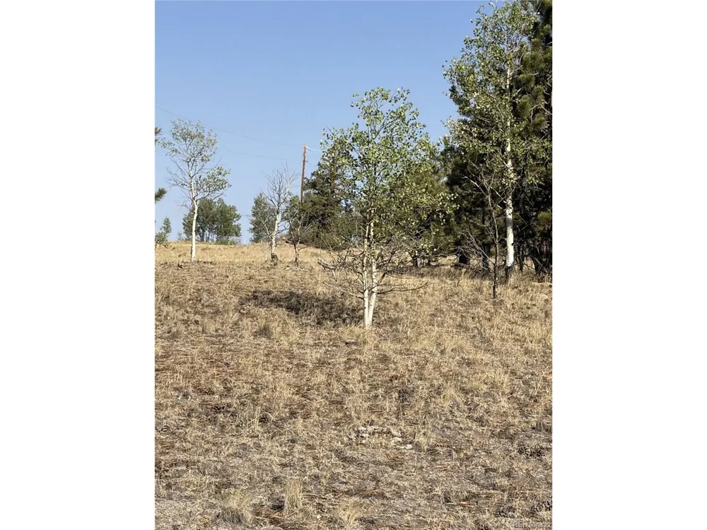 3031 Mcdowell Drive Como, CO 80432