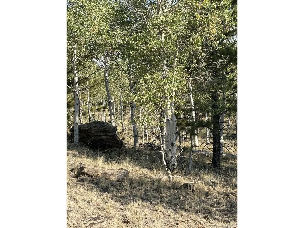 3031 Mcdowell Drive Como, CO 80432