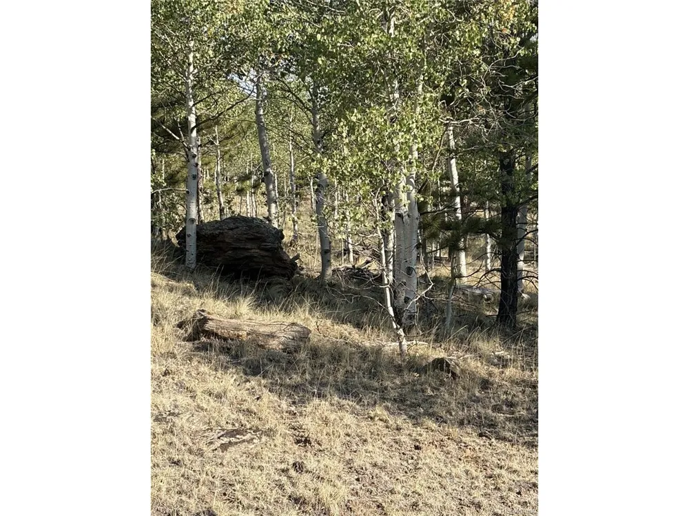 3031 Mcdowell Drive Como, CO 80432