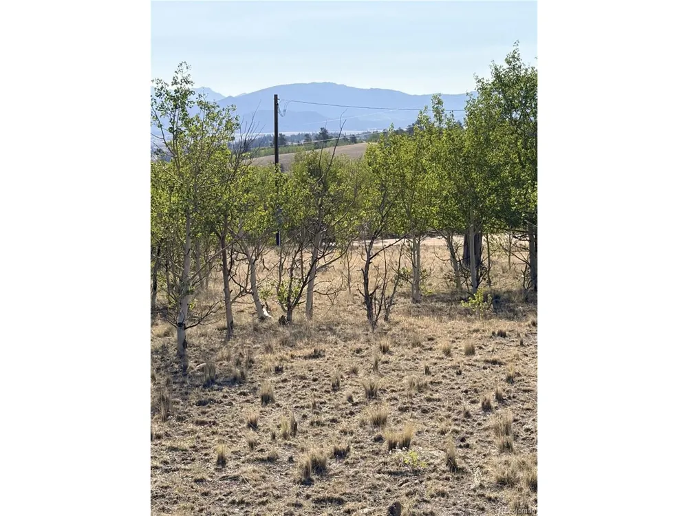 3031 Mcdowell Drive Como, CO 80432
