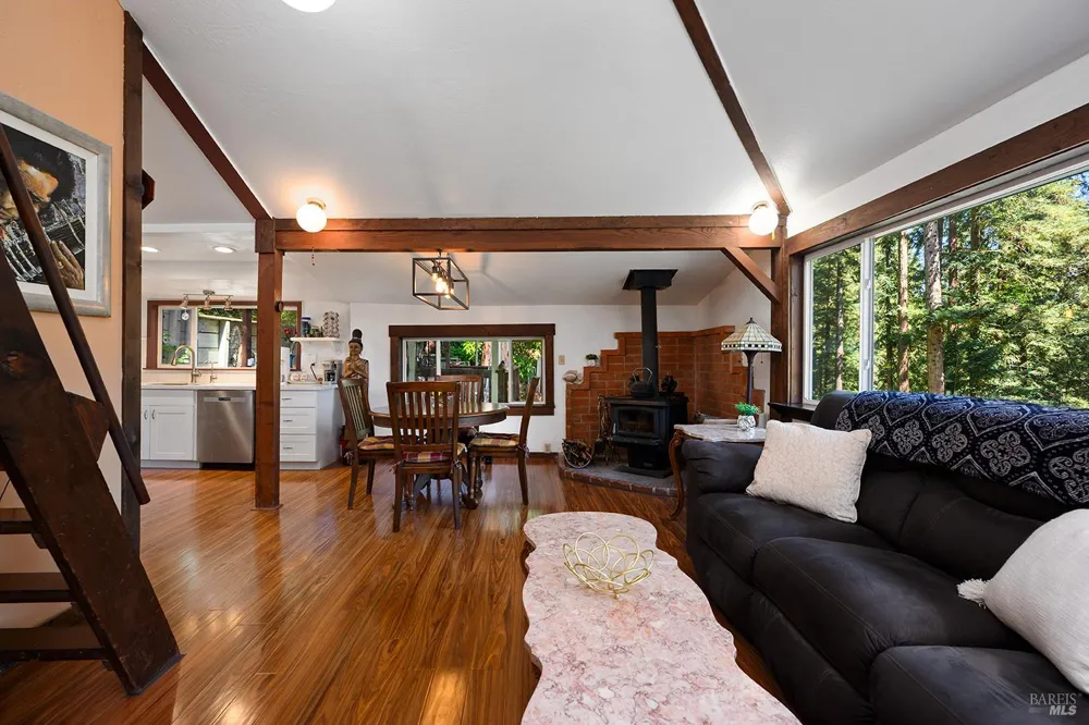 21567 Monte Vista Terrace Monte Rio, CA 95462
