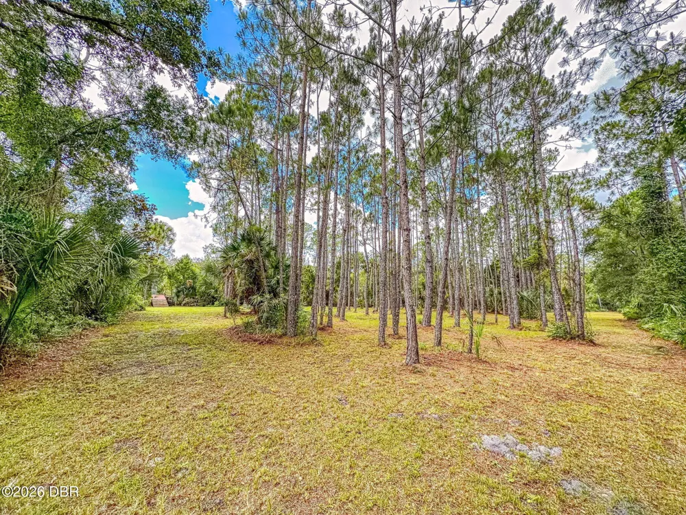 1205 Williams Road New Smyrna Beach, FL 32168