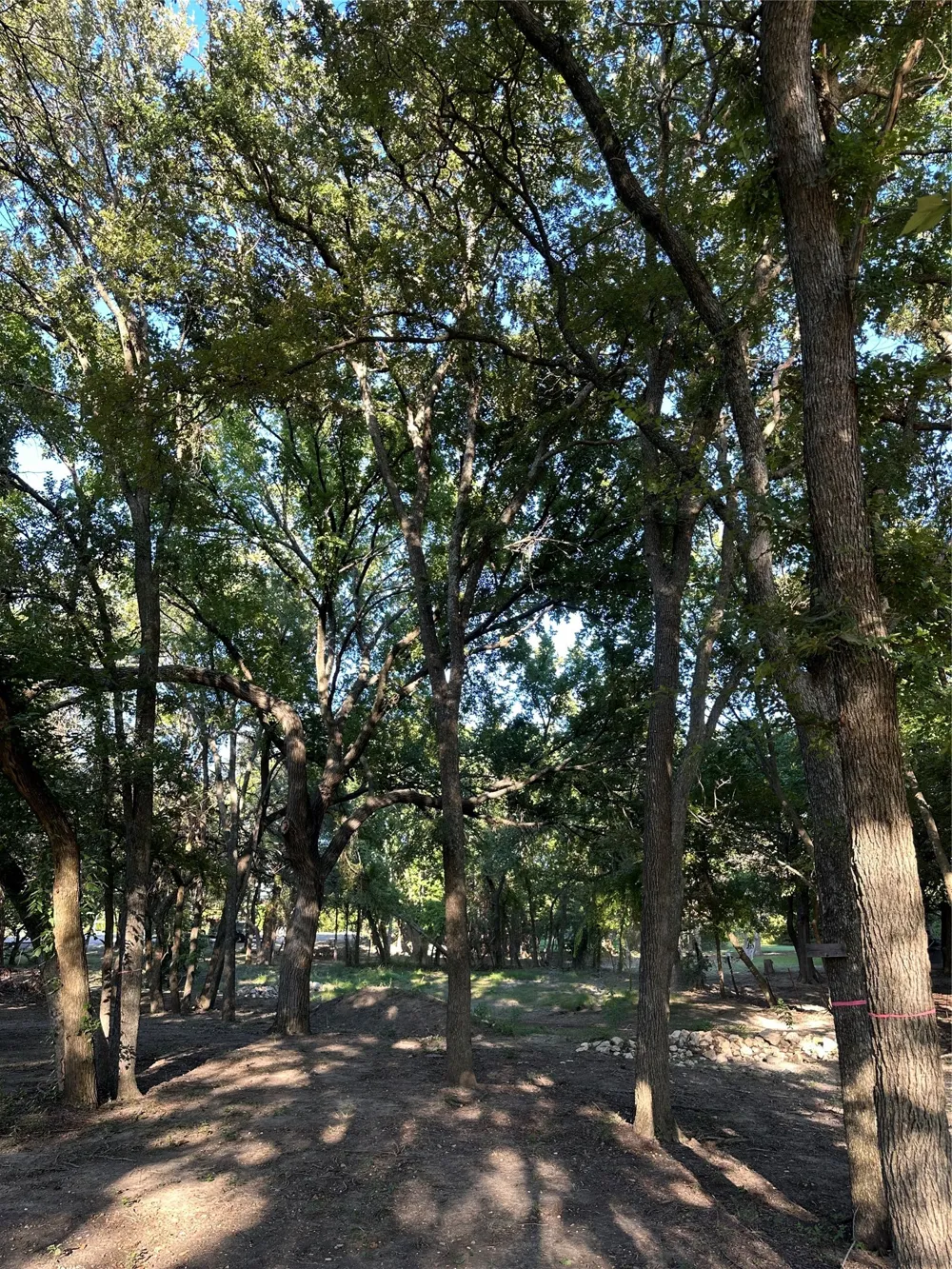 1204 Smirl Heath, TX 75032