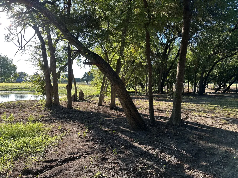 1204 Smirl Heath, TX 75032