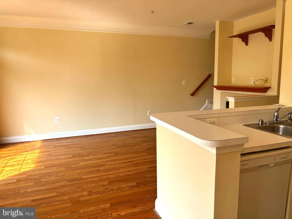 21156 DOMAIN TERRACE Sterling, VA 20165