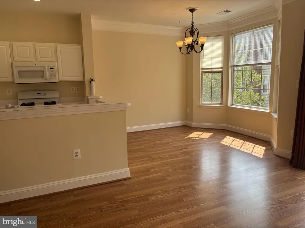 21156 DOMAIN TERRACE Sterling, VA 20165
