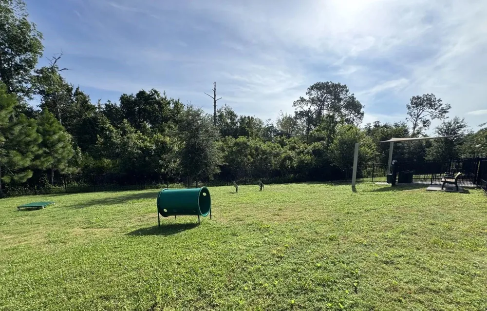 17820 SHARP PUMMELO ALLEY Winter Garden, FL 34787
