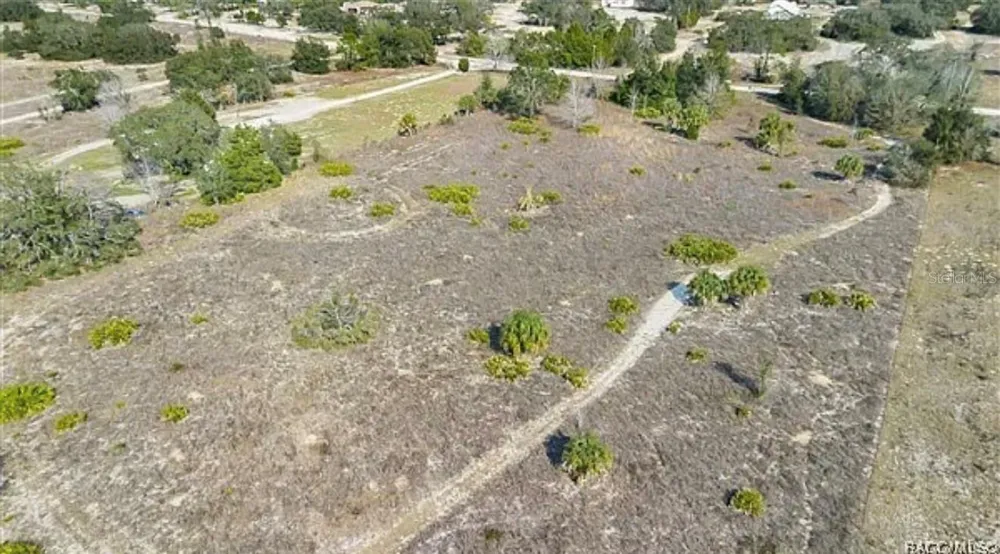6292 GEORGIAN RD Homosassa, FL 34446