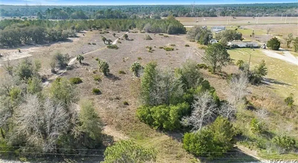 6292 GEORGIAN RD Homosassa, FL 34446